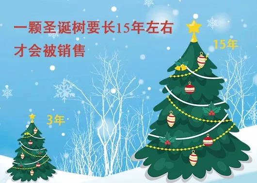 中國最早報道圣誕節(jié)的竟是《人民日報》，你不知道的10個圣誕小知識